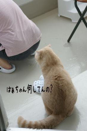 DSC06376.JPGブログ