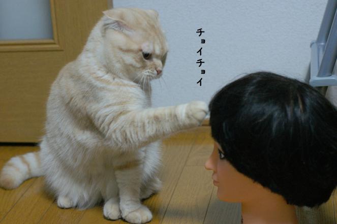DSC06855.JPGブログ
