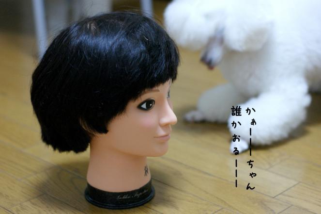DSC06852.JPGブログ
