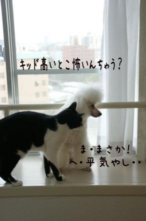 DSC06395.jpg