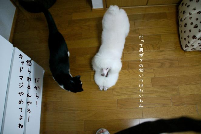 DSC06426.jpg