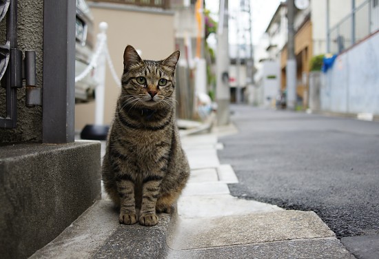 20110501062.jpg