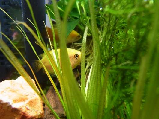 130402b.jpg