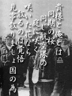 特攻同期の桜