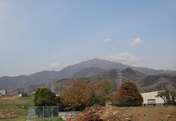 13032306.jpg