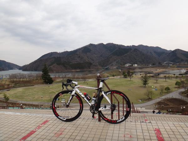 13032328.jpg