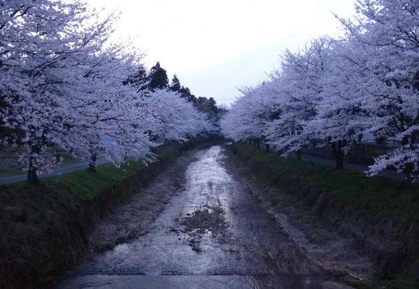 13040502.jpg