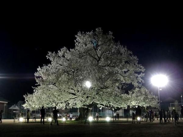 13040505.jpg