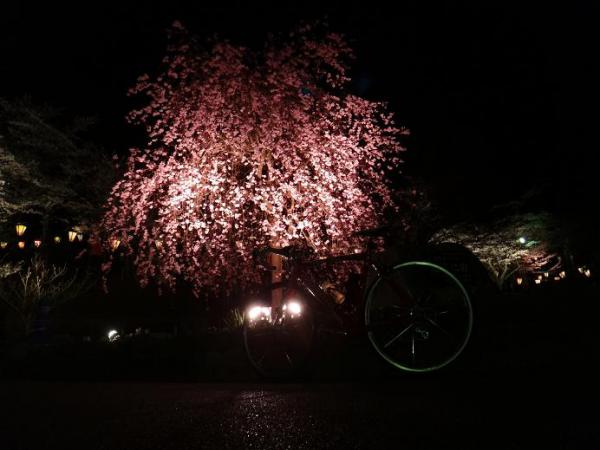 13040507.jpg