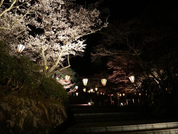 13040508.jpg