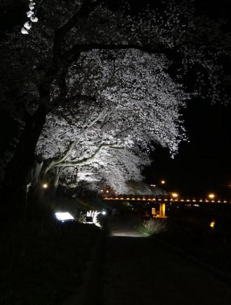 13040515.jpg