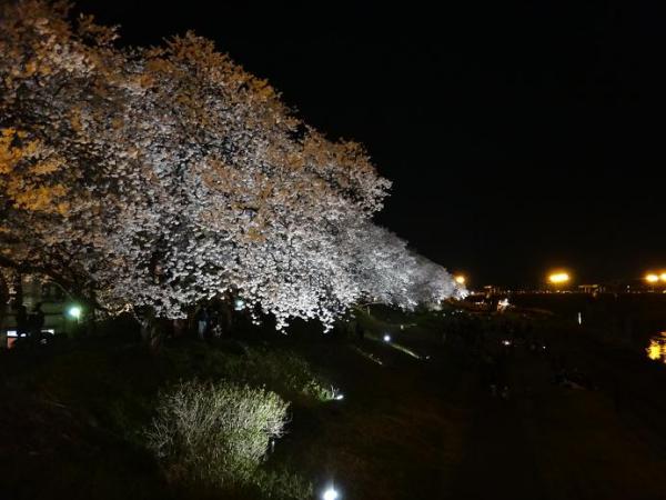 13040516.jpg
