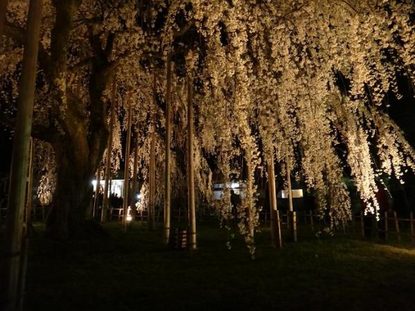 13040519.jpg