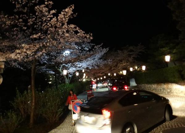 13040521.jpg