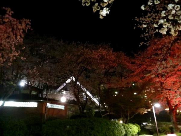 13040524.jpg