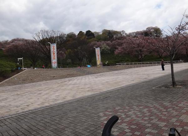 13041315.jpg