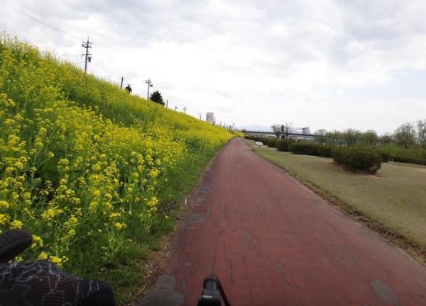 13041320.jpg