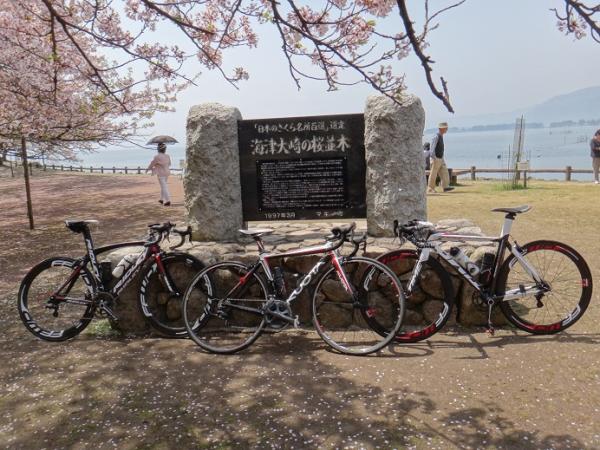 13041808.jpg