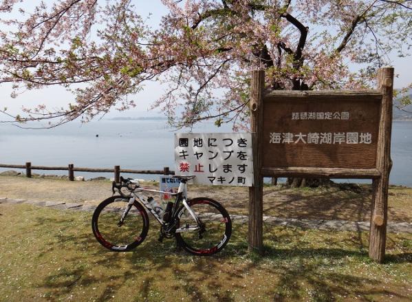 13041809.jpg