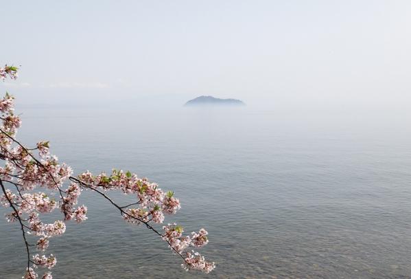 13041822.jpg