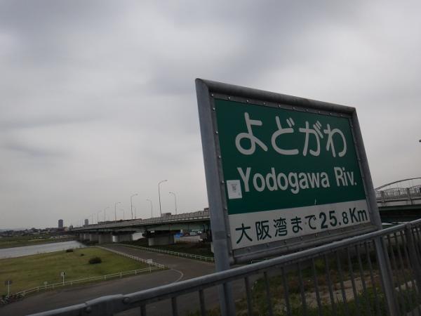 13042042.jpg