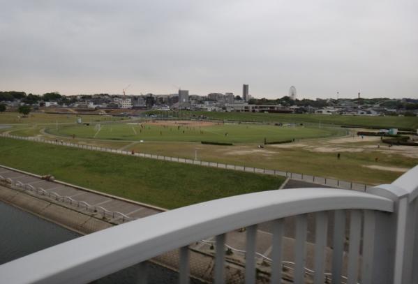 13042043.jpg