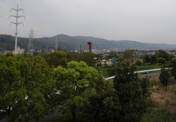13042046.jpg