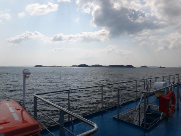 13042728.jpg