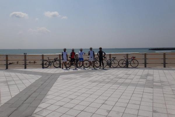 13042742.jpg