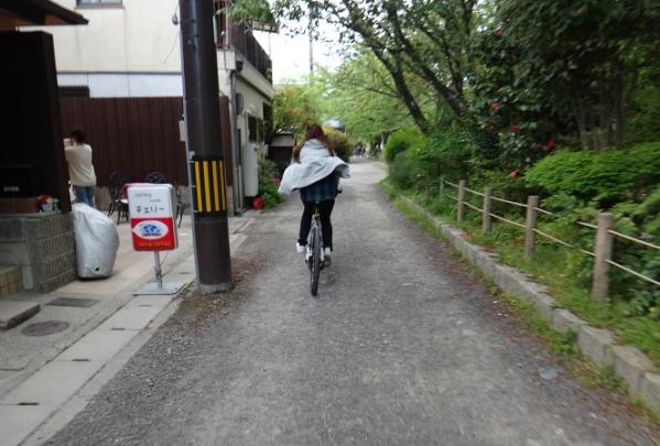 13050241.jpg