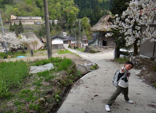 13050345.jpg