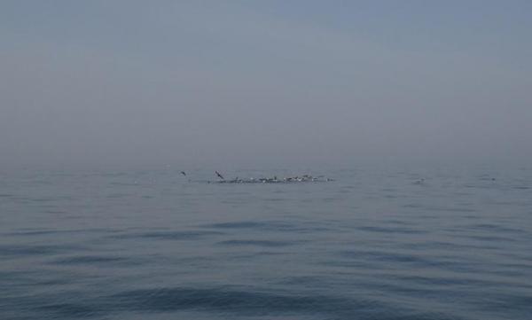 13060507.jpg