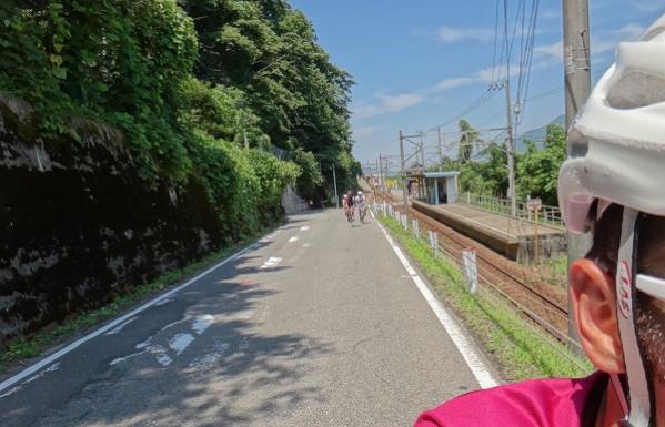 13071104.jpg