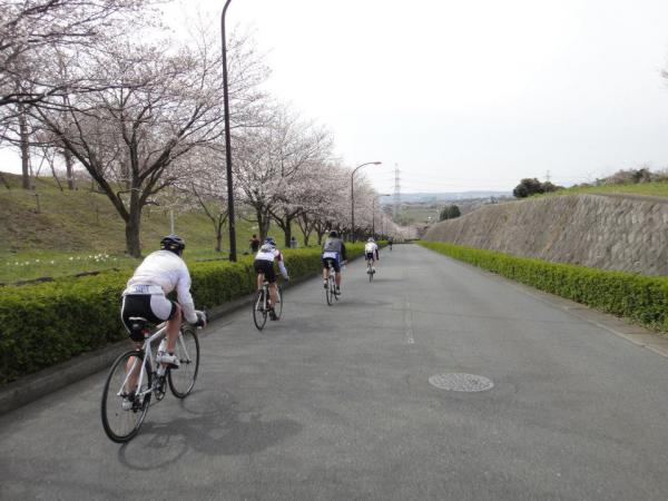 まき1