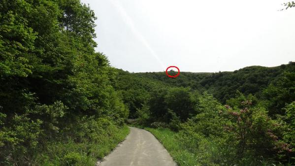 2013060901.jpg