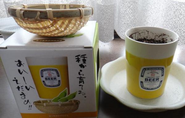 2013060945.jpg