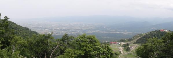 91306032.jpg