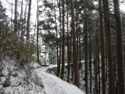 2013-1-25 高見山_R008