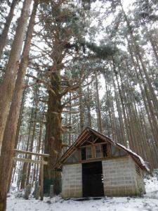 2013-1-25 高見山_R011