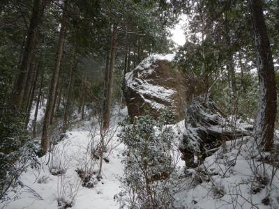 2013-1-25 高見山_R019