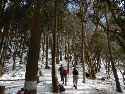 2013-1-25 高見山_R027