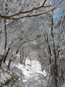 2013-1-25 高見山_R042