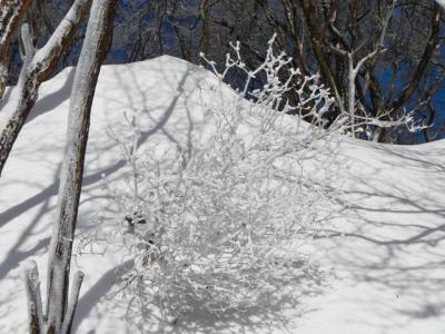2013-1-25 高見山_R045