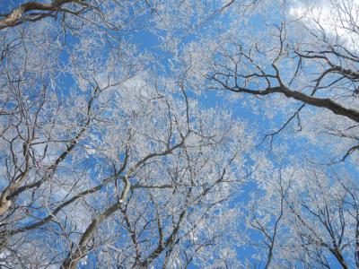 2013-1-25 高見山_R054