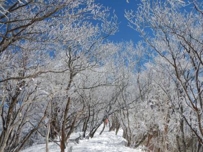 2013-1-25 高見山_R058