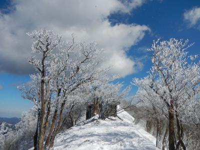2013-1-25 高見山_R064