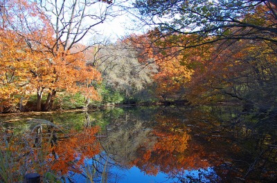 131201-04.jpg