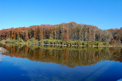131201-06.jpg