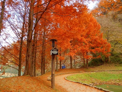 131208-03.jpg