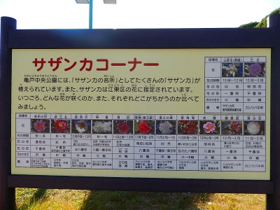 131221-08.jpg